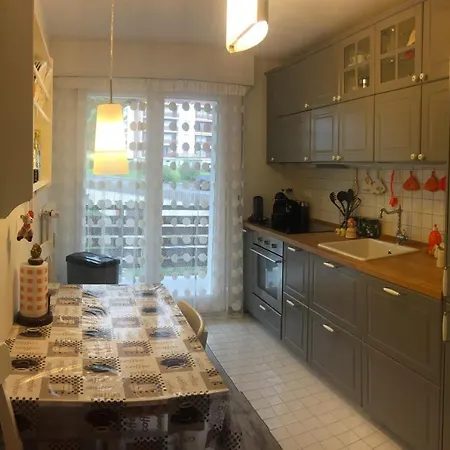 公寓 Moderno Con Splendida Vista Alpi 克莱恩 蒙塔纳
